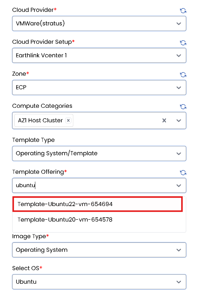 Basic VMware Setup Fields